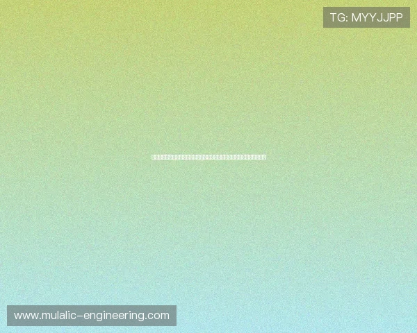 新西兰对比利时球员采访:分析两队关键球员的比赛经验与世界杯赛场发挥